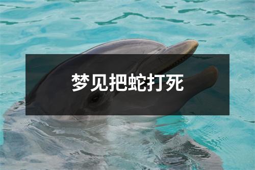 梦见把蛇打死