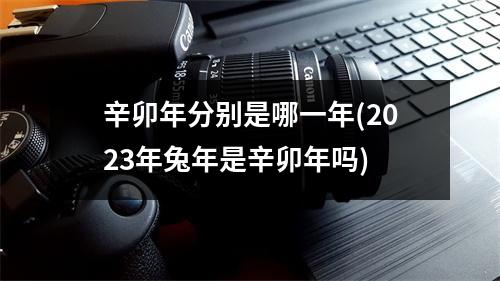 辛卯年分别是哪一年(2023年兔年是辛卯年吗)