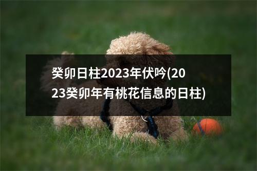 癸卯日柱2023年伏吟(2023癸卯年有桃花信息的日柱)