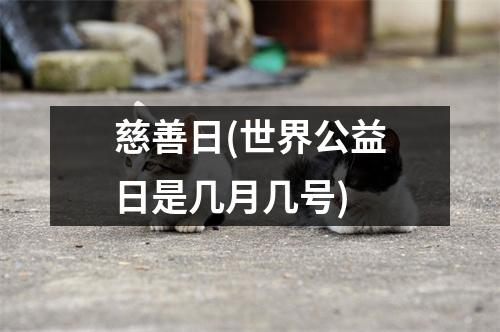 慈善日(世界公益日是几月几号)