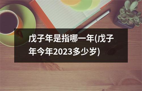 戊子年是指哪一年(戊子年今年2023多少岁)