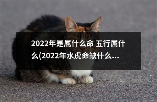 2022年是属什么命 五行属什么(2022年水虎命缺什么起名带什么字的好)