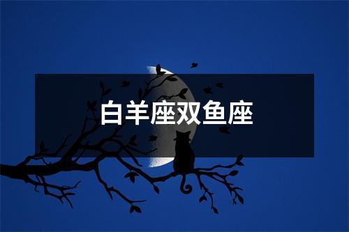 白羊座双鱼座