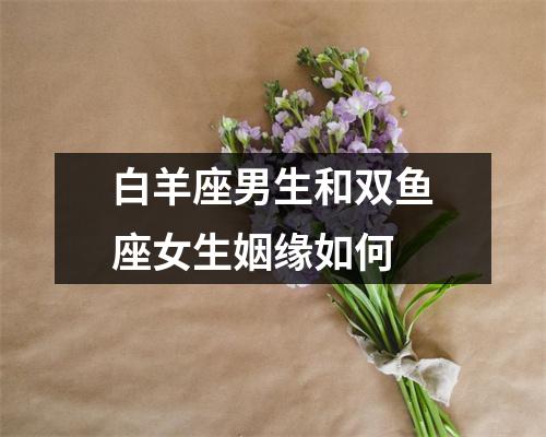 白羊座男生和双鱼座女生姻缘如何