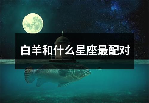 白羊和什么星座配对