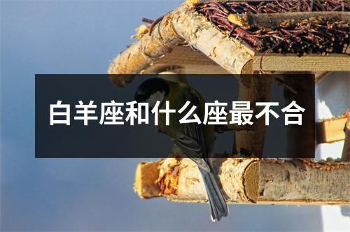 白羊座和什么座不合