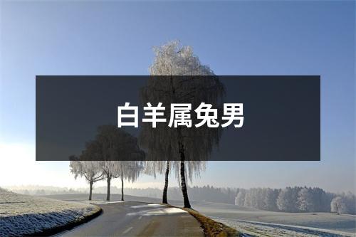 白羊属兔男