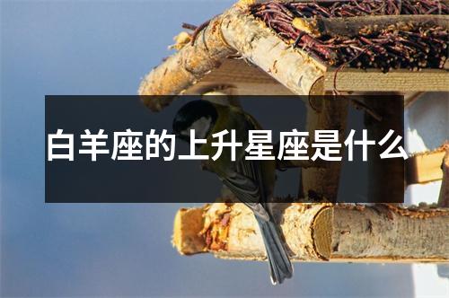 白羊座的上升星座是什么