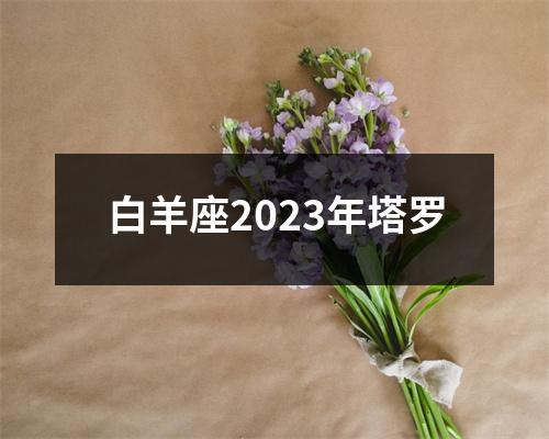 白羊座2023年塔罗