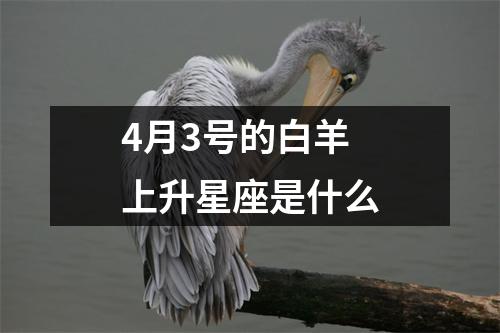 4月3号的白羊上升星座是什么