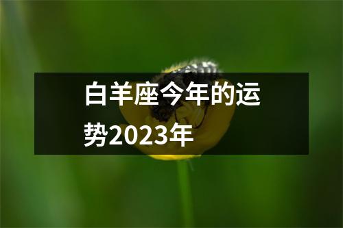 白羊座今年的运势2023年