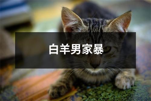 白羊男家暴