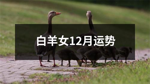 白羊女12月运势