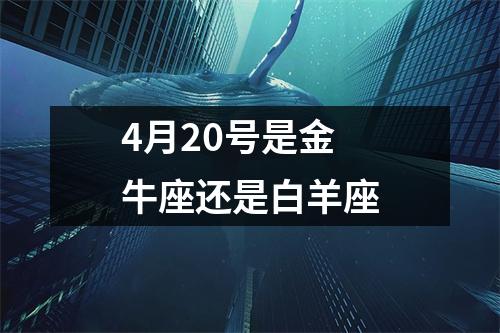 4月20号是金牛座还是白羊座