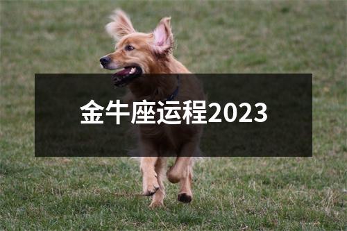 金牛座运程2023