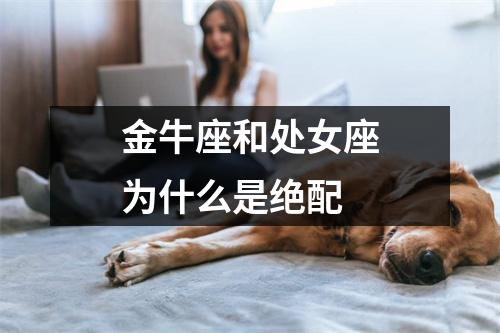 金牛座和处女座为什么是绝配