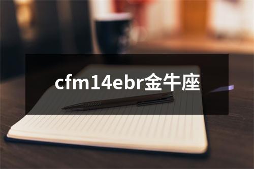 cfm14ebr金牛座