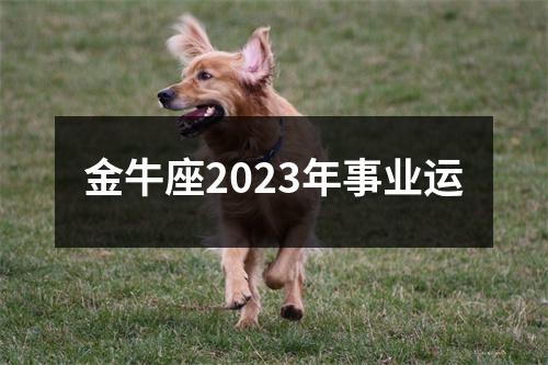 金牛座2023年事业运