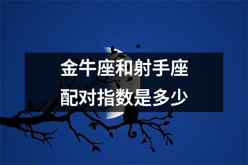 金牛座和射手座配对指数是多少