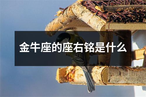 金牛座的座右铭是什么