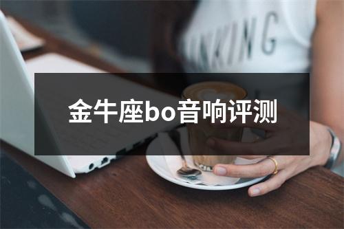 金牛座bo音响评测