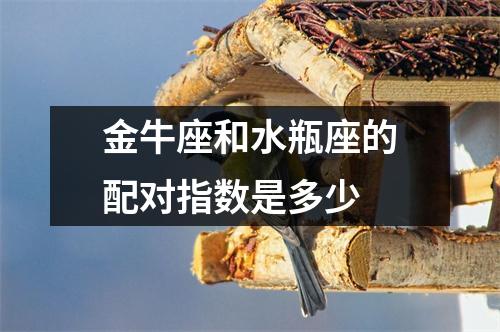 金牛座和水瓶座的配对指数是多少