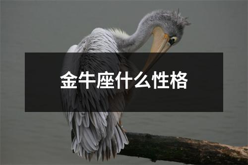 金牛座什么性格