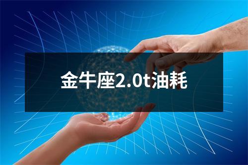 金牛座2.0t油耗