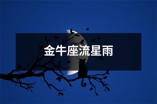 金牛座流星雨