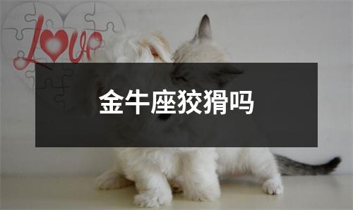 金牛座狡猾吗