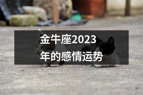 金牛座2023年的感情运势