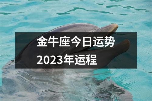 金牛座今日运势2023年运程