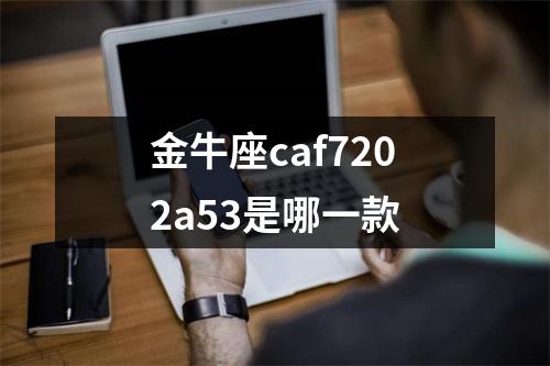 金牛座caf7202a53是哪一款