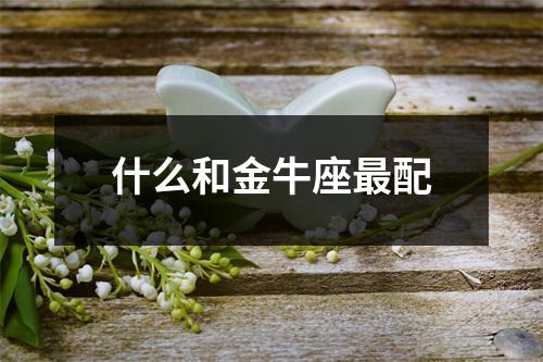 什么和金牛座配