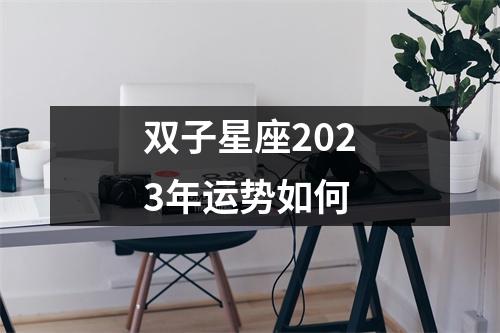 双子星座2023年运势如何