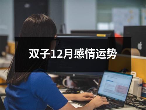 双子12月感情运势