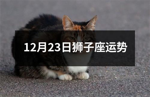 12月23日狮子座运势