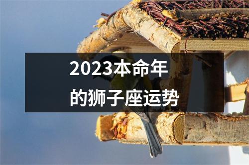 2023本命年的狮子座运势