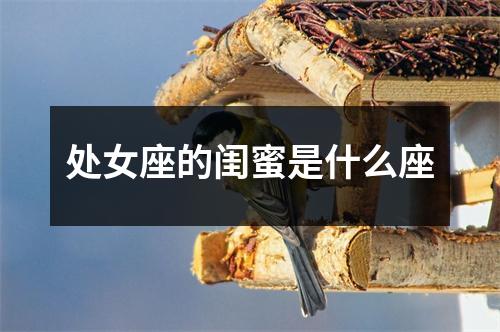 处女座的闺蜜是什么座