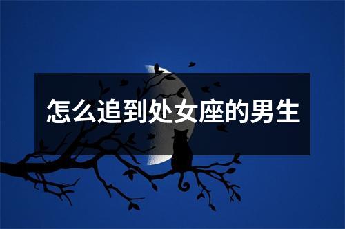 怎么追到处女座的男生