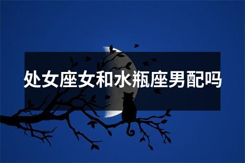 处女座女和水瓶座男配吗