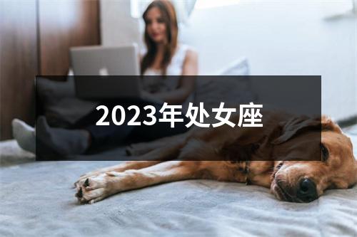 2023年处女座