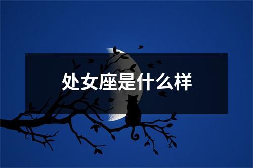 处女座是什么样