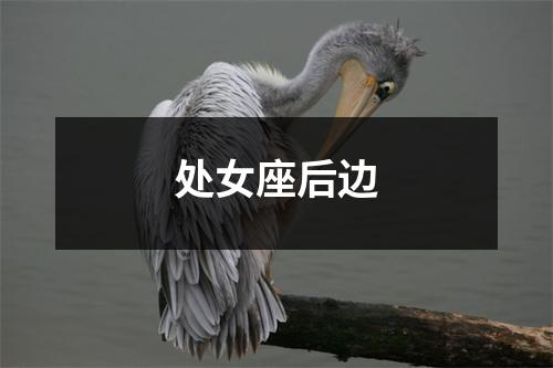 处女座后边