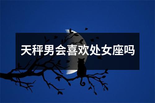 天秤男会喜欢处女座吗