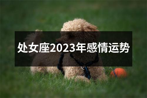 处女座2023年感情运势