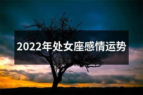 2022年处女座感情运势