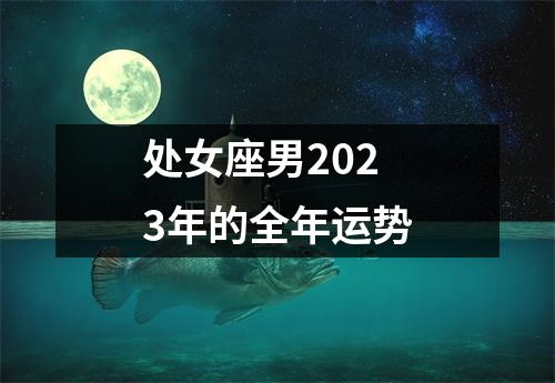 处女座男2023年的全年运势