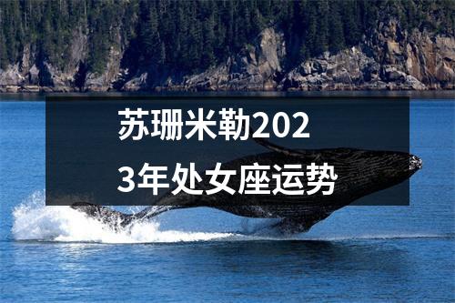 苏珊米勒2023年处女座运势