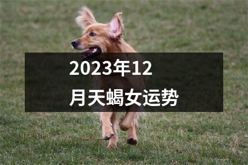 2023年12月天蝎女运势